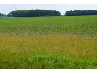 Property photo 140 - LAND AUCTION - 700+/- ACRES OFFERED IN 16 TRACTS IN ALLEN COUNTY, INDIANA